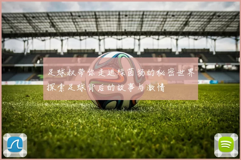 足球叔带你走进绿茵场的秘密世界探索足球背后的故事与激情