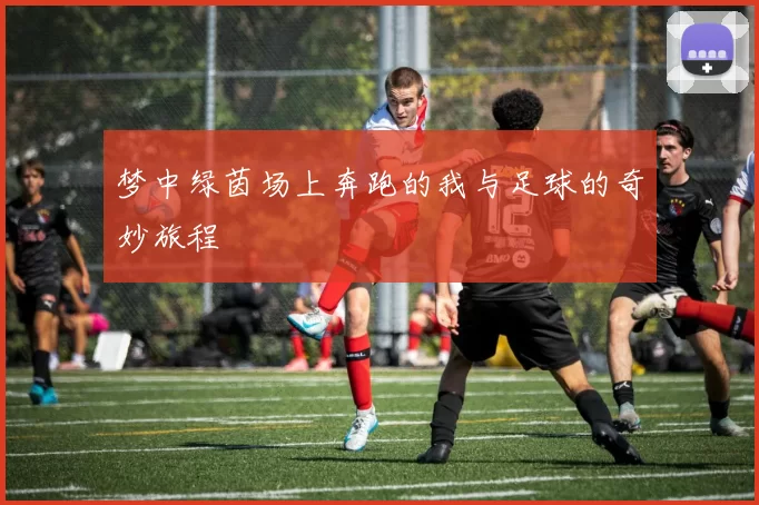 梦中绿茵场上奔跑的我与足球的奇妙旅程